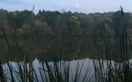 Velké vodní plochy nejen v ČR