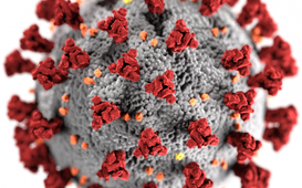 Přenosu koronaviru pitnou vodou se bát nemusíte