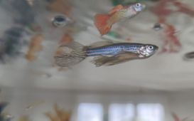 Soutěž „Bez vody to nejde“ má své vítěze 