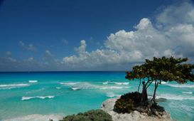 Můžeme pít mořskou vodu?