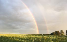 Aktuálně.cz - tipy na akce a výlety pro děti