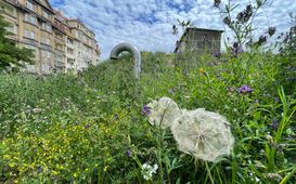 Co roste na pražských vodojemech?