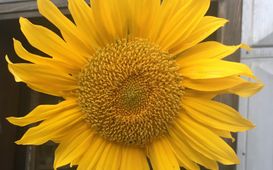 Co můžeme udělat pro životní prostředí?