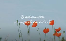 Biodiverzita v areálech PVK