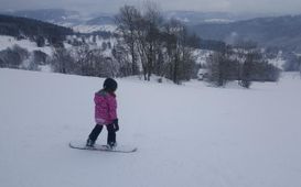 Je umělé zasněžování dobré pro přírodu?