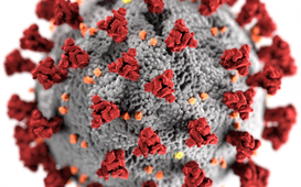 Jak se chránit proti virům a bacilům?